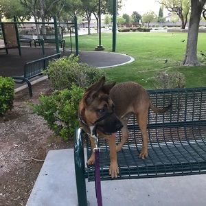 Meet your Posher, Mary jo